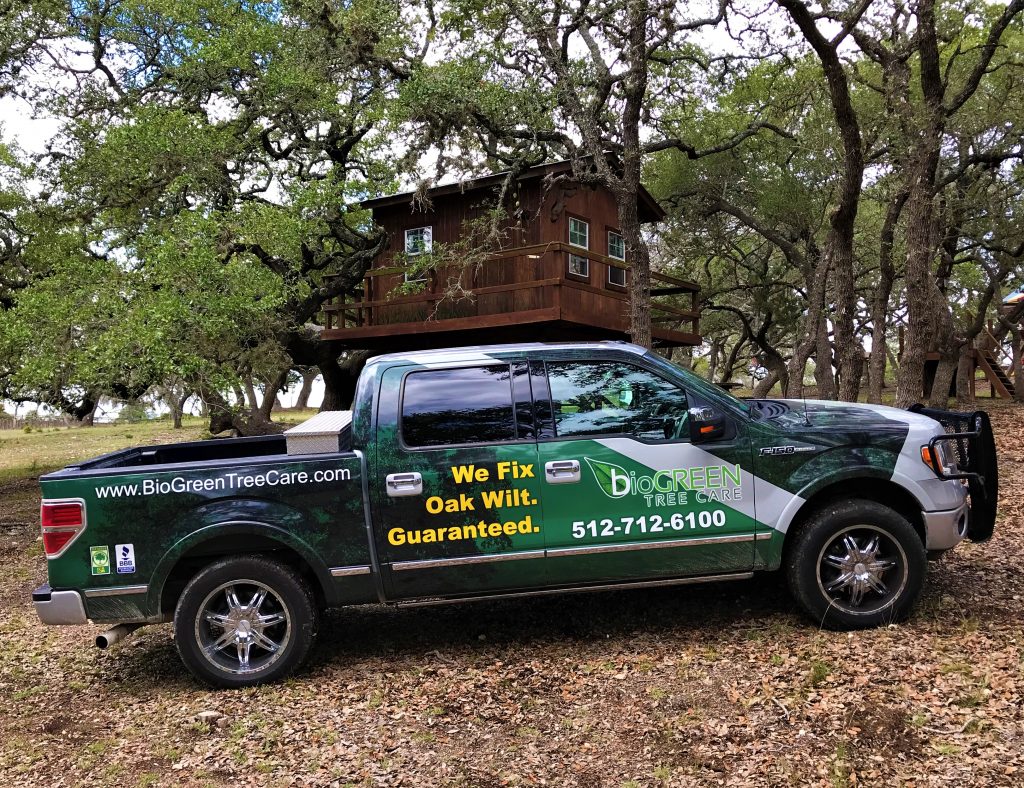 BioGreen Tree Care